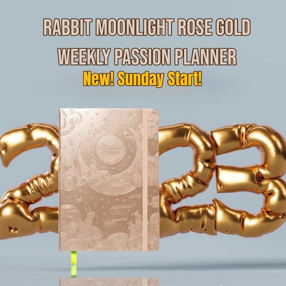 NEW!! SUNDAY WEEKLY A 2023 PASSION PLANNER ROSE GOLD- - Picture 2 of 8